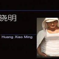 明星黑料ppt,PPT背后的真相与反思