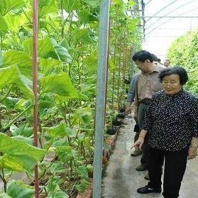 娱乐圈吃瓜代号蜜蜂是谁,娱乐圈神秘吃瓜者的真实身份揭秘